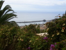 Ausblick Funchal