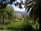 Stadtpark Funchal